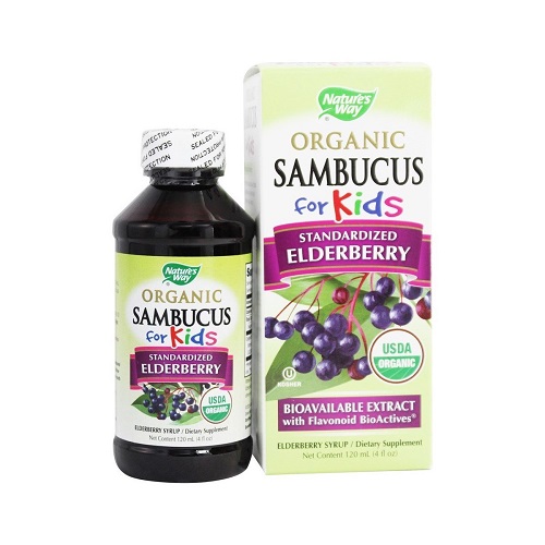 Siro Tăng Đề Kháng Hữu Cơ Nature's Way Organic Sambucus Kid Syrup Elderberry