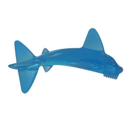 Gặm nướu cá heo Sharky